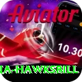 antigua hawksbill Elite v4.7.2
