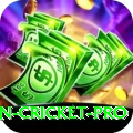 australian cricket Ultimate v5.5.9