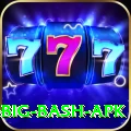 bbl big bash apk Deluxe Pro v2.3.5