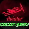 cricket jersey Gold v4.9.9