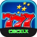 crickex Plus Edition v3.9.1