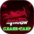 grass carp Gold Edition v2.5.9