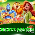 india cricket match Deluxe v3.6.7