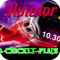 india england cricket Casino Pro v2.2.1