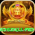 india next cricket match schedule APK Pro v1.8.6