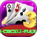 india pakistan cricket Casino Pro v2.3.8
