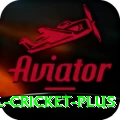 international cricket - Slots Extreme