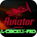 international cricket Elite APK v4.6.4