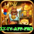 live cricket tv app Prime - Free Download