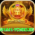 naseem shah yorkers Premium v1.2.6