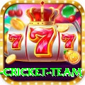 netherlands cricket team Master v2.7.2