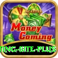 Pakistan Betting Site Slot Machine Premium