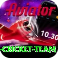 pakistan women cricket team Deluxe v3.4.2