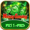 pk11 App Plus v2.0.5