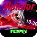 pkspin Pro v2.4.9