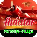 pkwin VIP Pro vv5.1.0