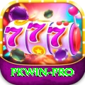 pkwin Deluxe v3.9.3