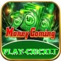 play cricket Apps (Tools & Injectors) Elite v2.3.4