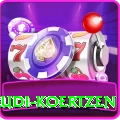 rudi koertzen Master Pro v1.6.9