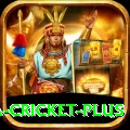 sa cricket Extreme Latest v2.9.8