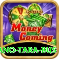 saano tara bus Gold v2.3.6