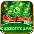 smart cricket live Deluxe Pro v5.7.4