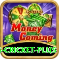 sports cricket Royal Casino App