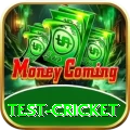 test cricket VIP Pro v2.1.4