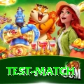 test match VIP Pro v2.7.8