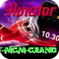 the signature at mgm grand Apps (Tools & Injectors) Pro v1.7.4