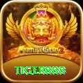 tiger888 Plus Pro vv2.4.2