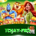 tojay Games (Casino & Earning) Plus v4.4.4