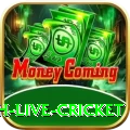watch live cricket Pro Max v3.3.6