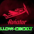 willow cricket Turbo Pro v2.7.2