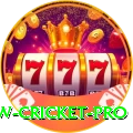 willow cricket Gaming Royal